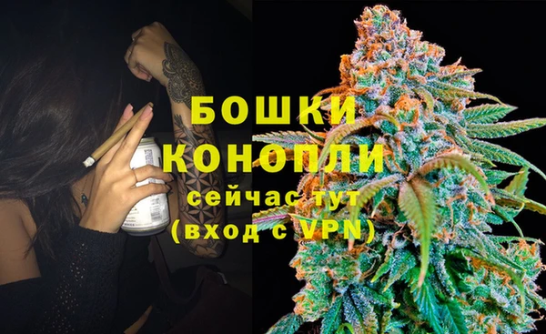 амф Инсар