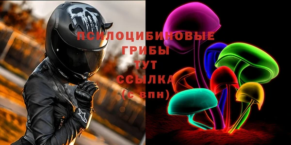 тгк Зеленодольск